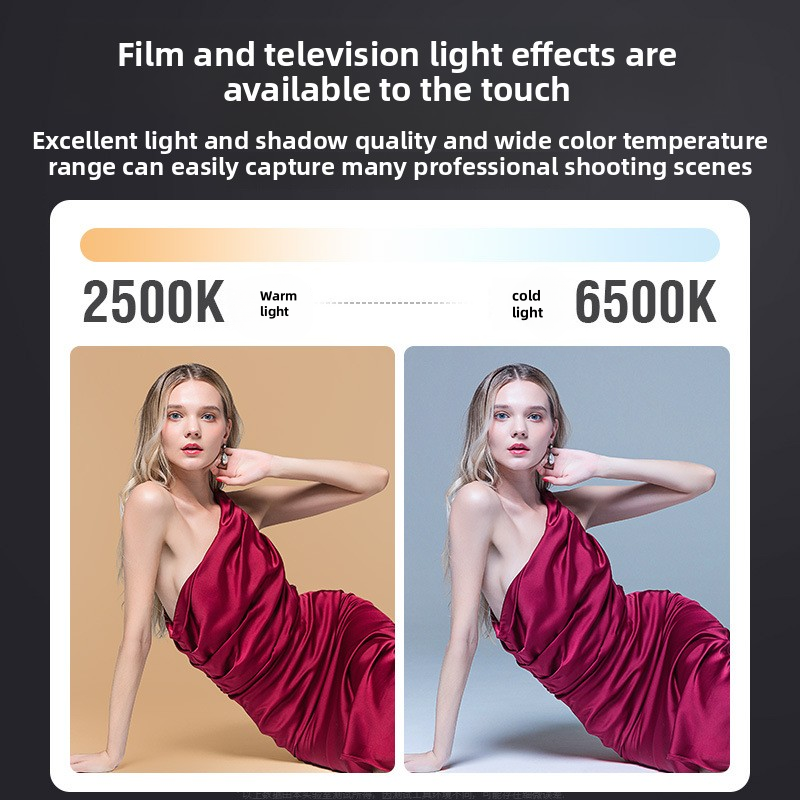 ZU80 High-Power COB Fill Light - Photography Year avis et prix