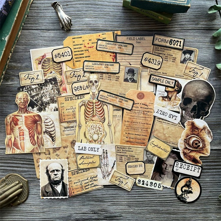 DIY Scrapbooking Vintage Doll  - Photography Journal avis et prix