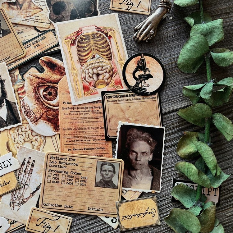 DIY Scrapbooking Vintage Doll  - Photography Journal avis et prix