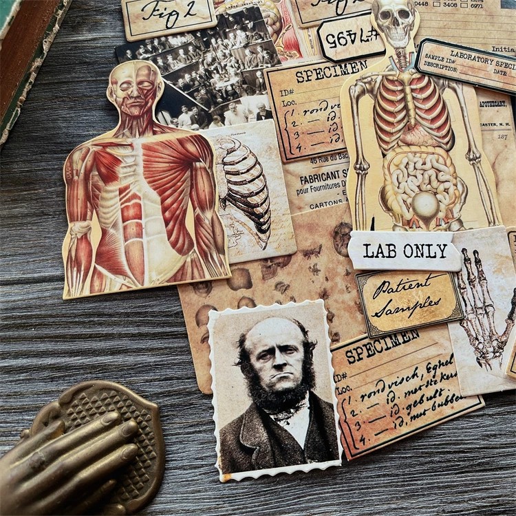 DIY Scrapbooking Vintage Doll  - Photography Journal avis et prix