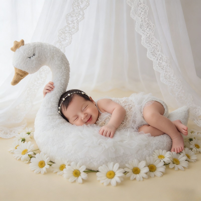 Newborn Photography Prop Swan  - Photography Of The Day avis et prix