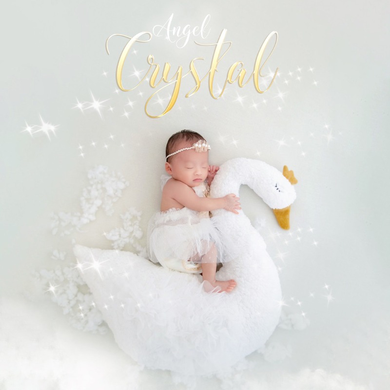 Newborn Photography Prop Swan  - Photography Of The Day avis et prix