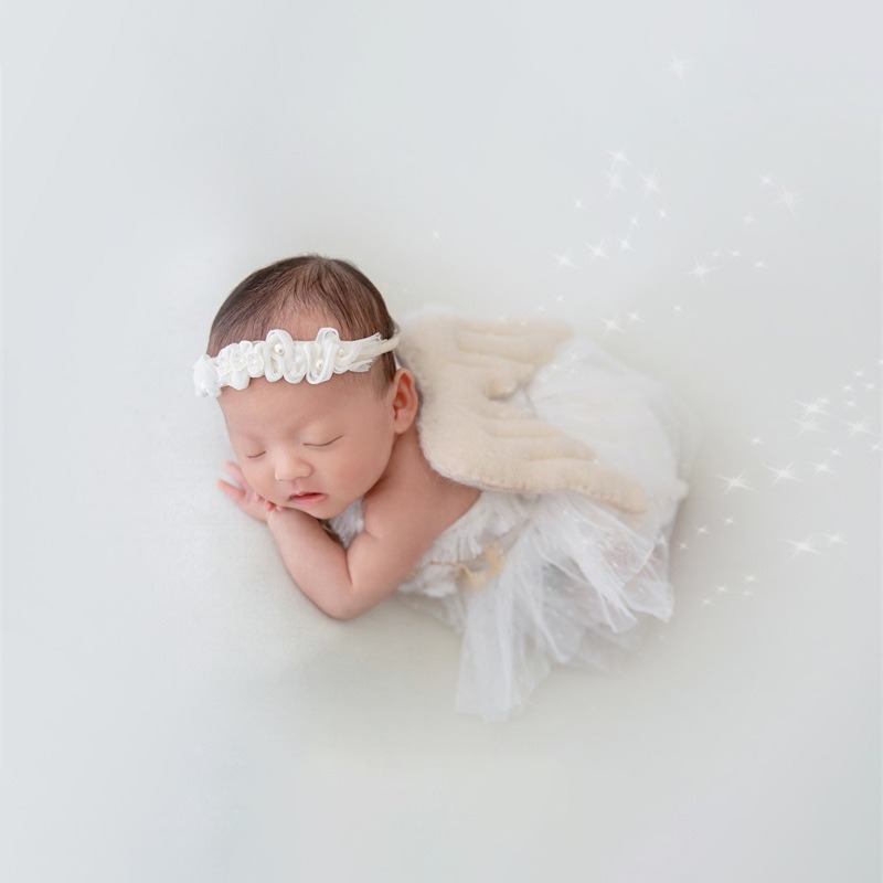 Newborn Photography Prop Swan  - Photography Of The Day avis et prix