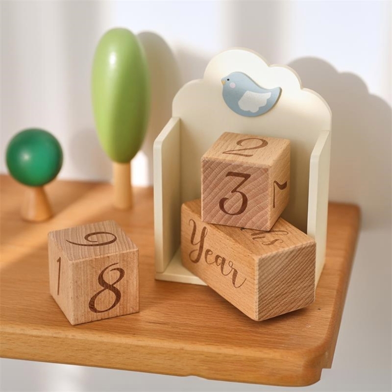 Baby Year Month Week Age Recor - Photography Year avis et prix