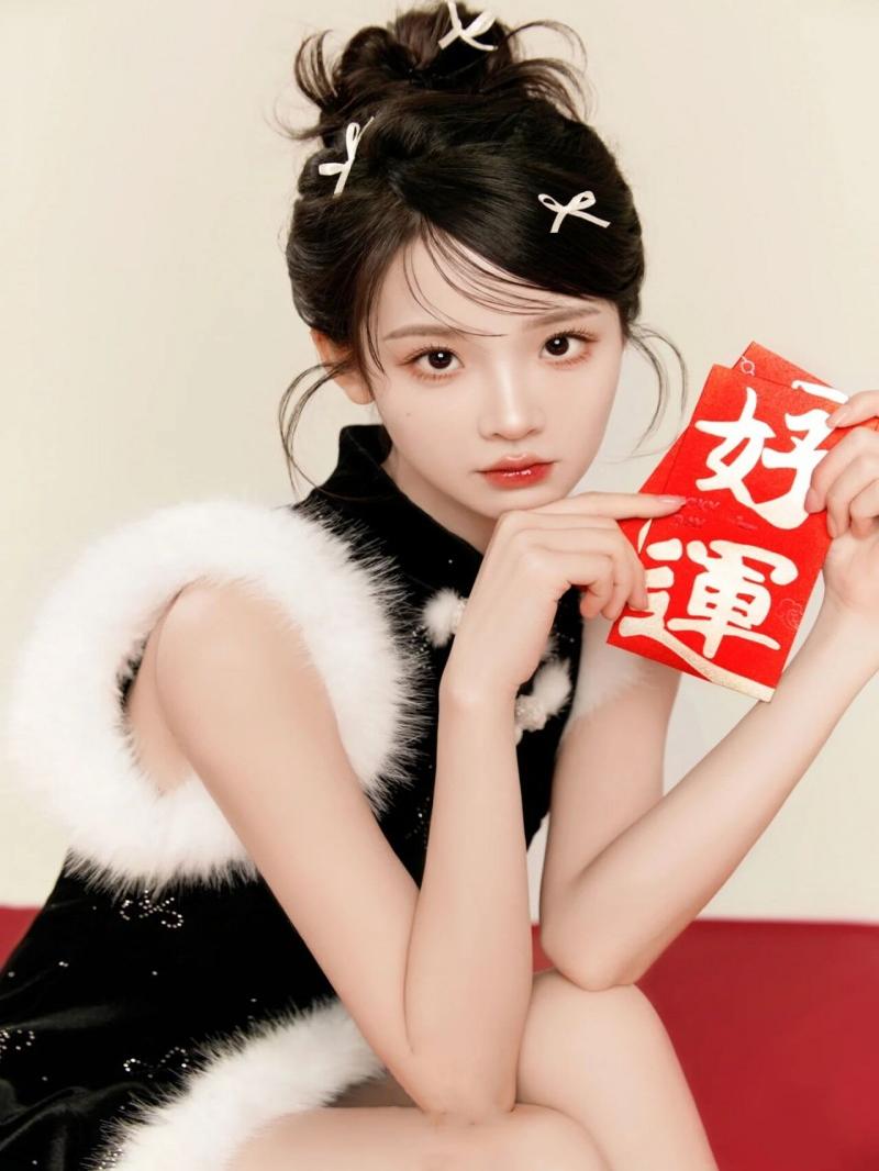 New Year 2025 Snake Year Chine - Photography Year avis et prix