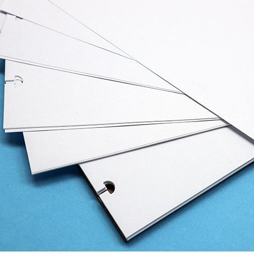 A4 Loose-leaf Refilled Mushroo - Photography Journal avis et prix