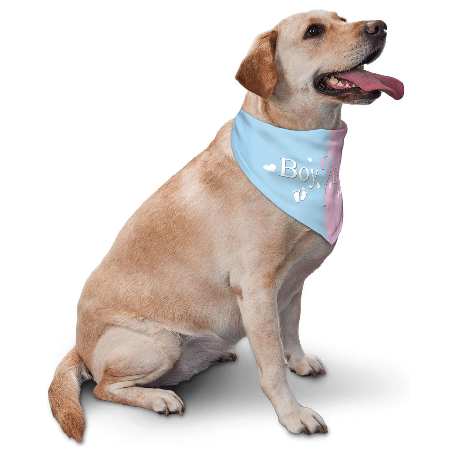 Gender Reveal Pet Bandana - Pi - Photography Triangle avis et prix