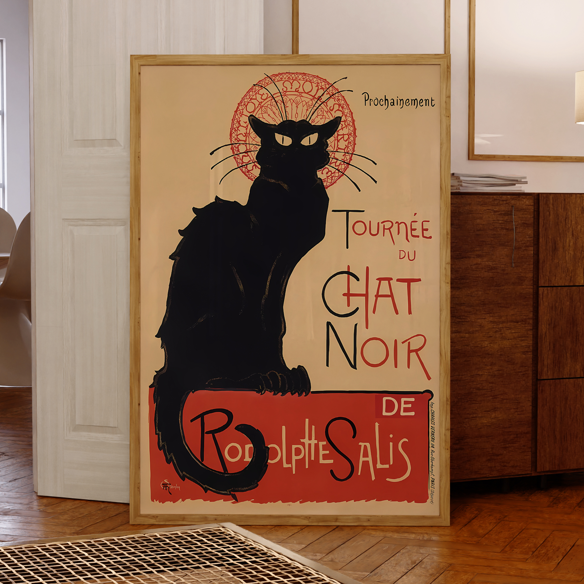 Modern Chat Noir - Black Cat V - Photography Image avis et prix