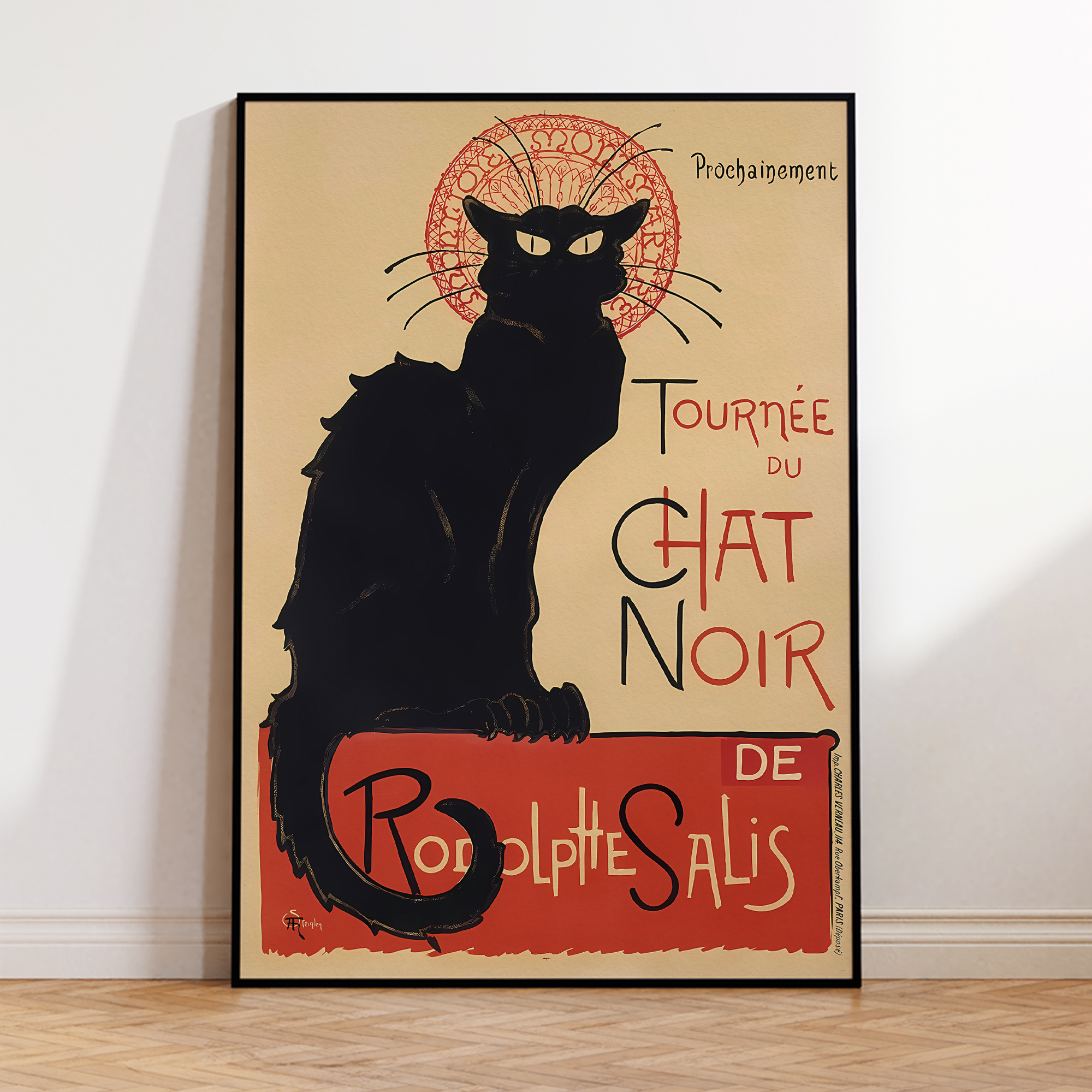 Modern Chat Noir - Black Cat V - Photography Image avis et prix
