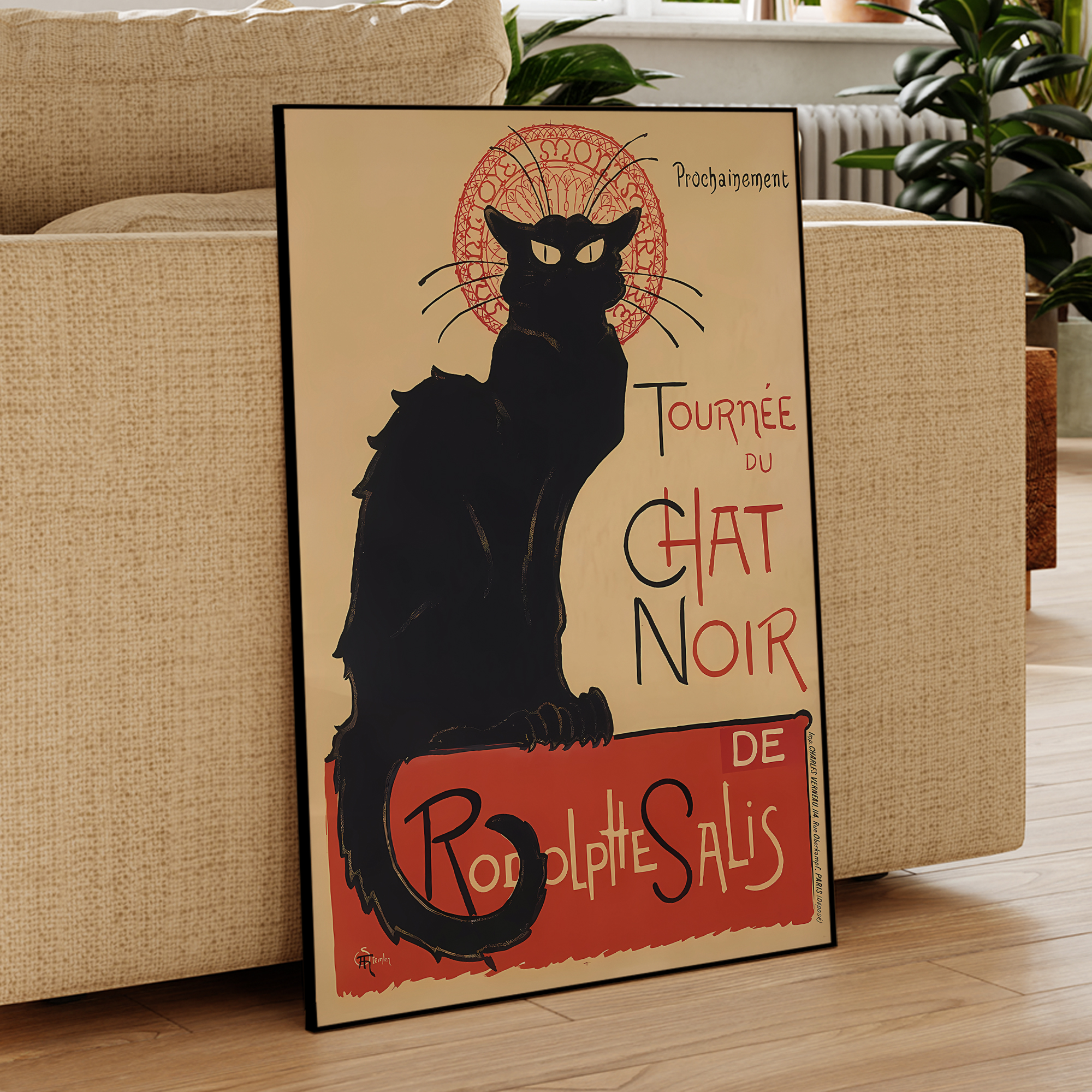 Modern Chat Noir - Black Cat V - Photography Image avis et prix