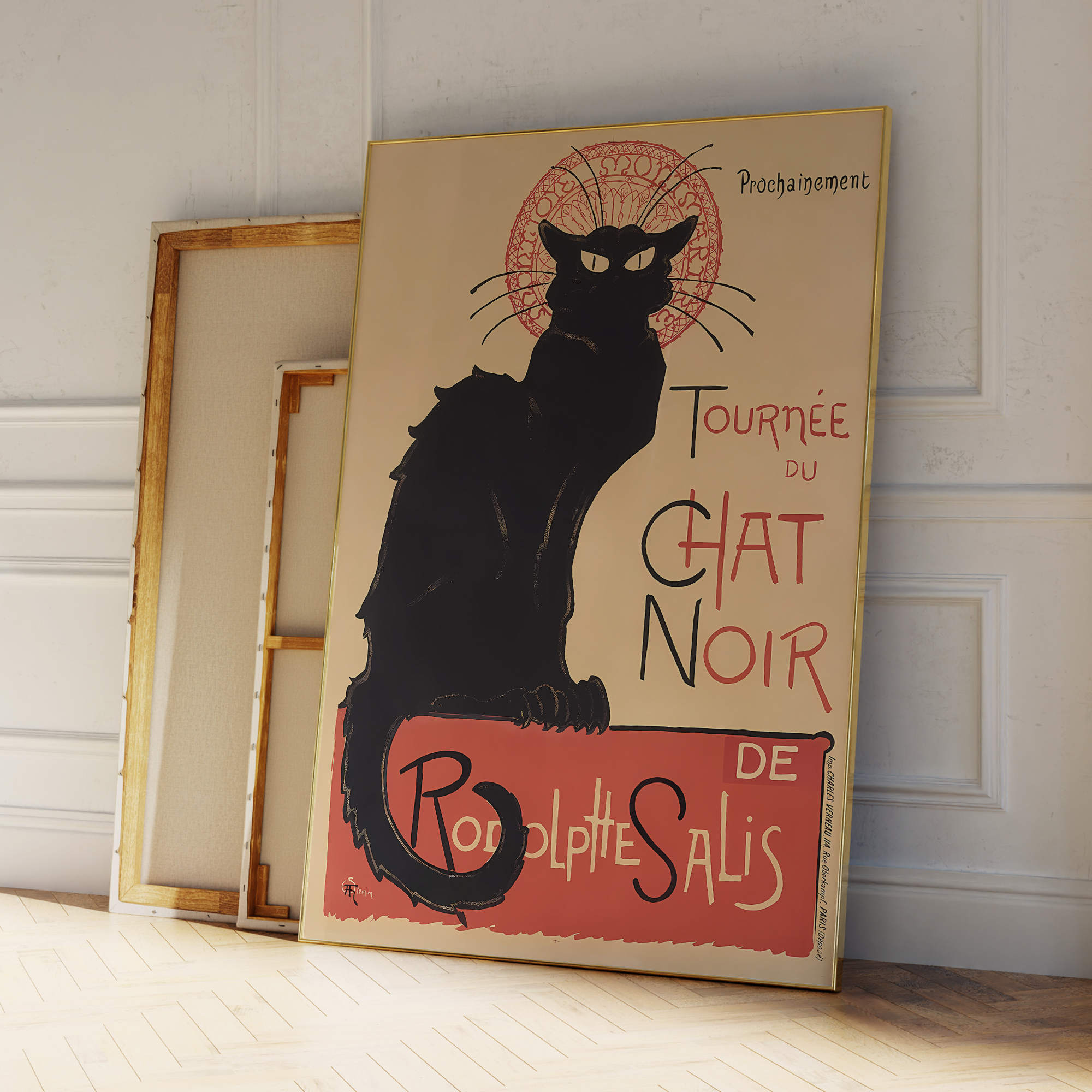 Modern Chat Noir - Black Cat V - Photography Image avis et prix