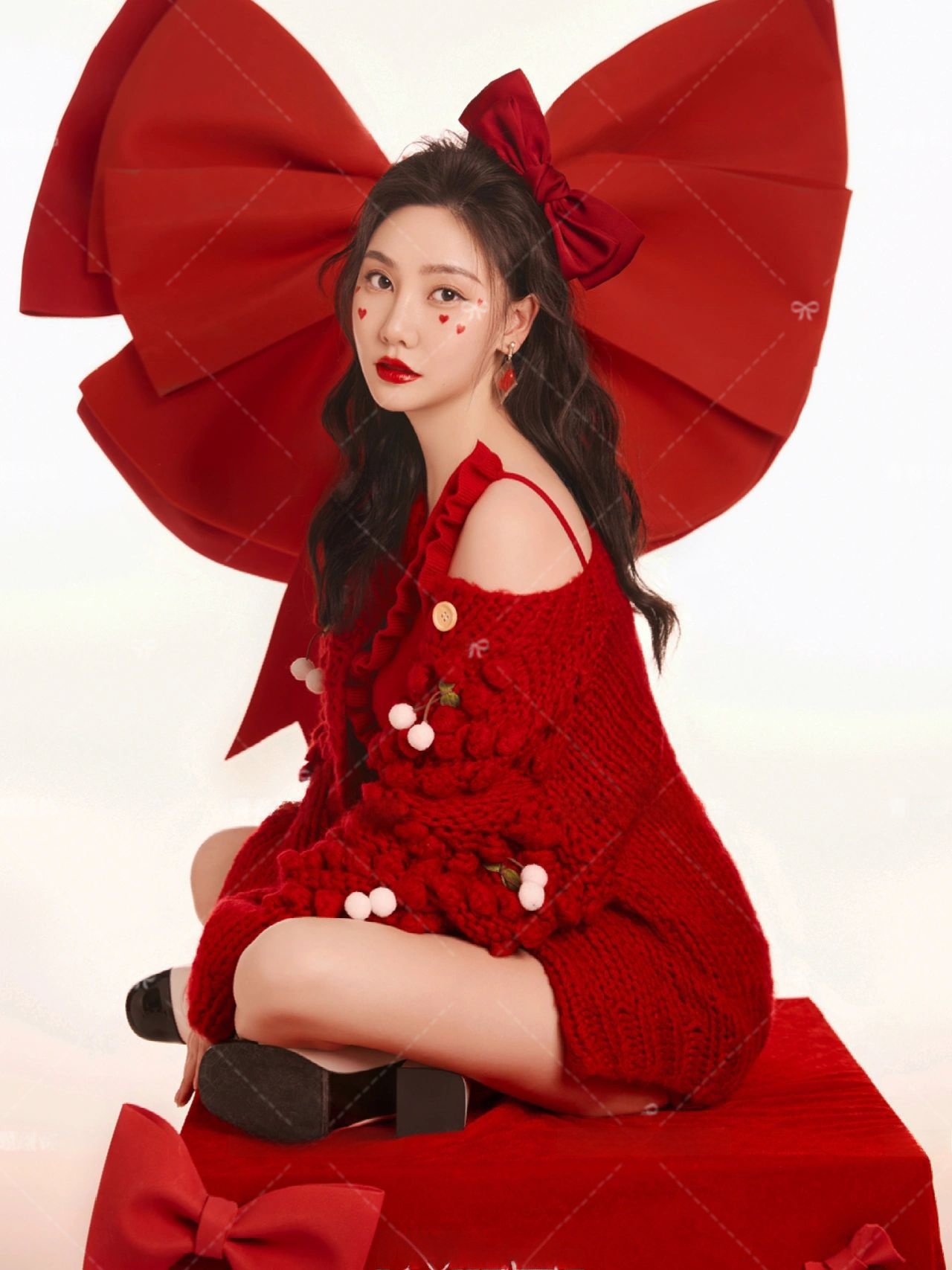 Red Sweater Christmas Theme Ne - Photography Year avis et prix