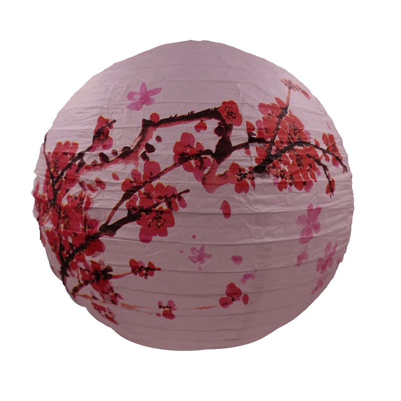 30cm Printed Paper Chinese Sty - Photography Of The Day avis et prix