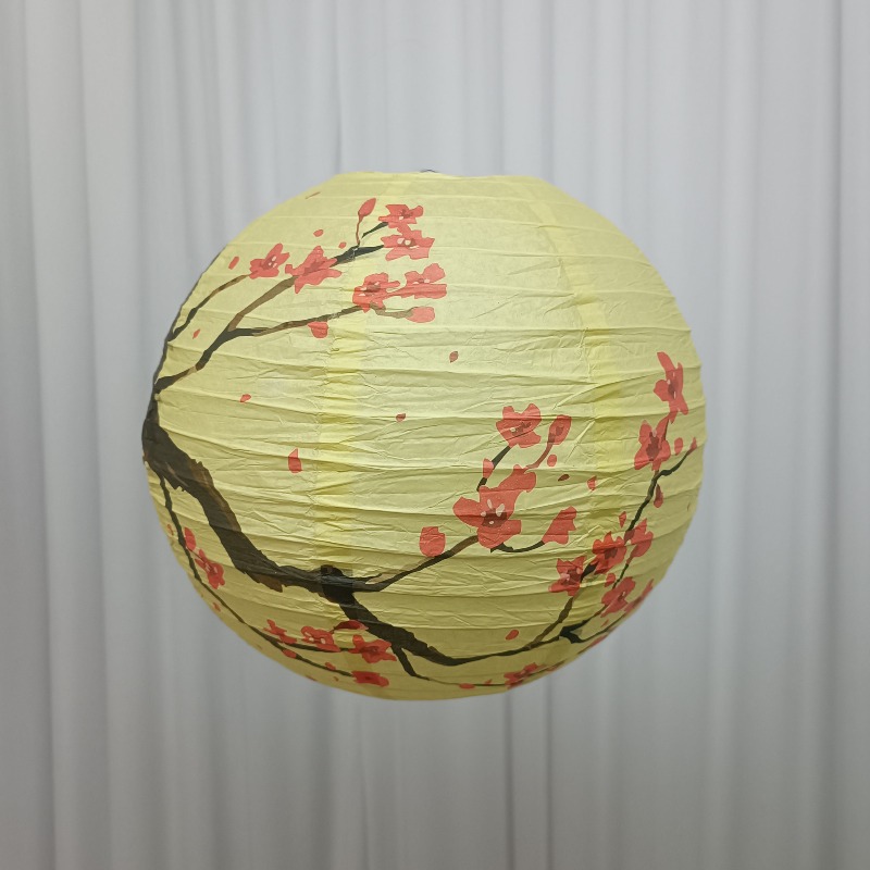 30cm Printed Paper Chinese Sty - Photography Of The Day avis et prix
