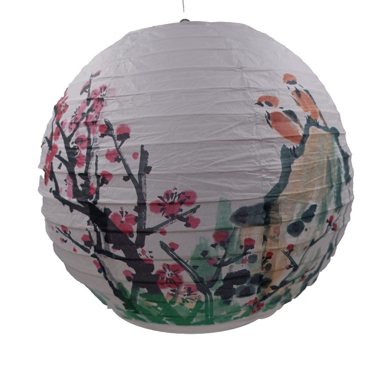 30cm Printed Paper Chinese Sty - Photography Of The Day avis et prix